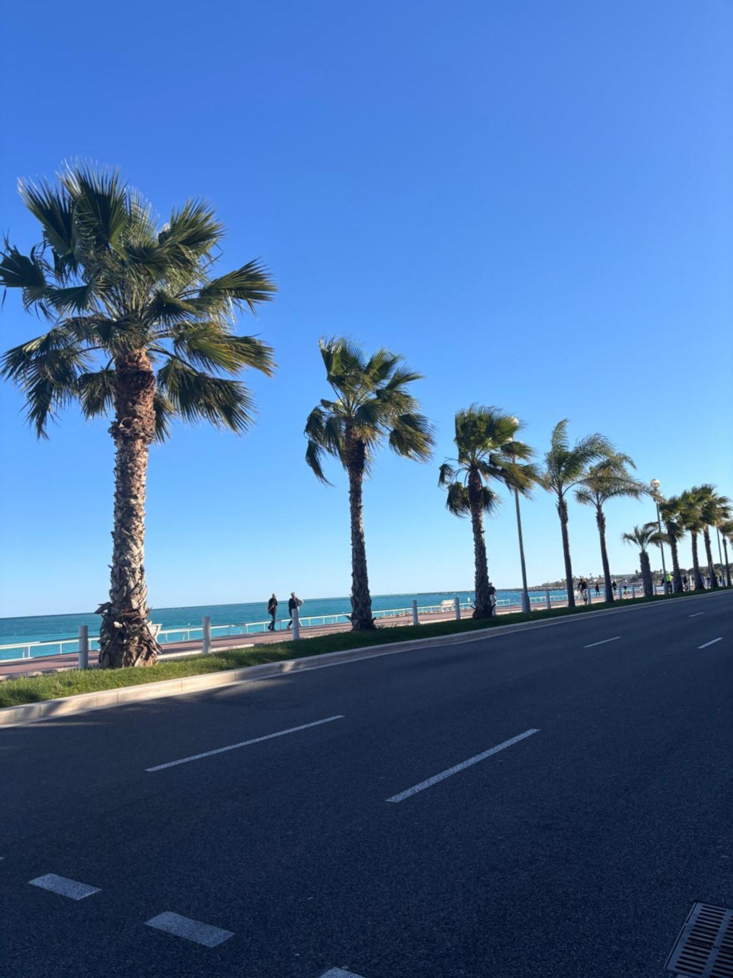Grand De 30 M2 Promenade Des Leilighet